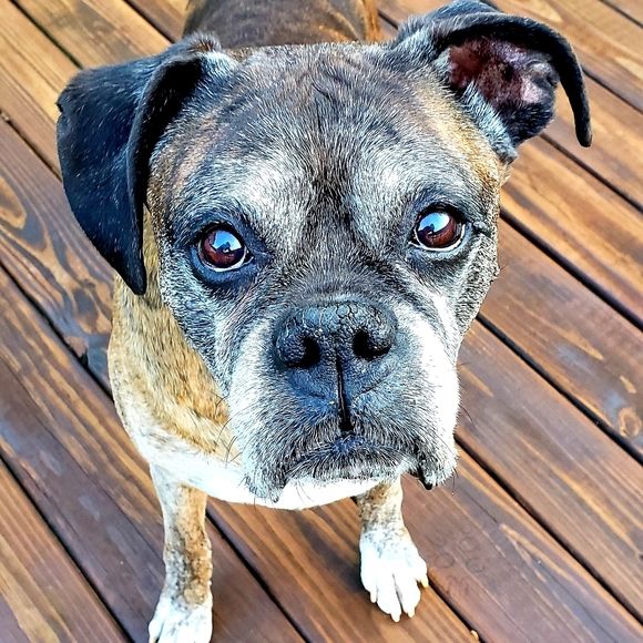 Meet your Posher, Brenda - Picture 1 of 1